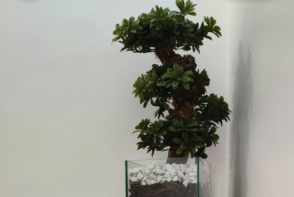 Plantas artificiais e semi artificiais