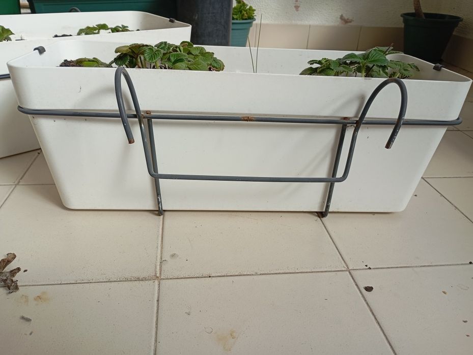 Vaso plástico floreira com morangos