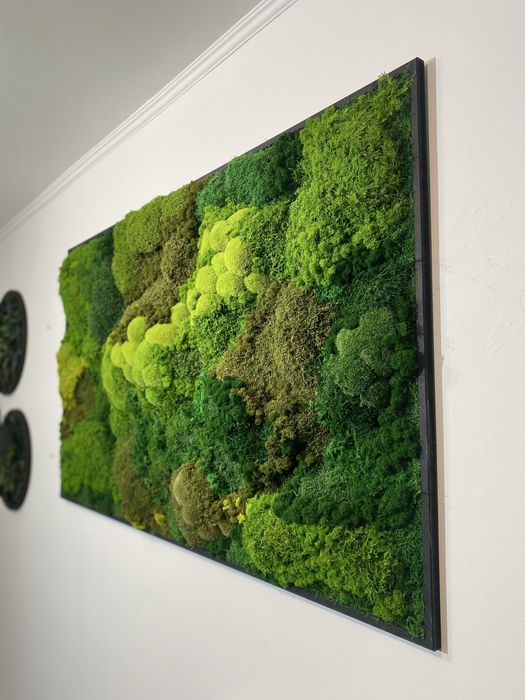 Панно з Моху. Декор з Мохом. Фітокартина зі Стабілізованим Мохом