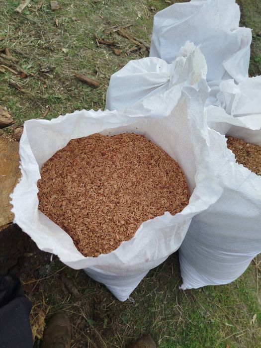 Дрова твердих порід