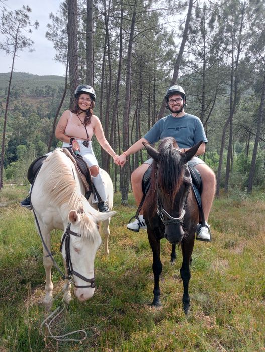 Passeios a cavalo