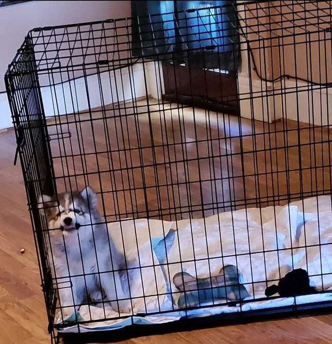 Клітка для собак Польша, клетка переноска вольер для собак XXL-X/S