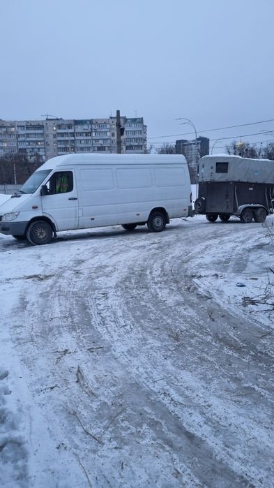 Перевозка  коней корив