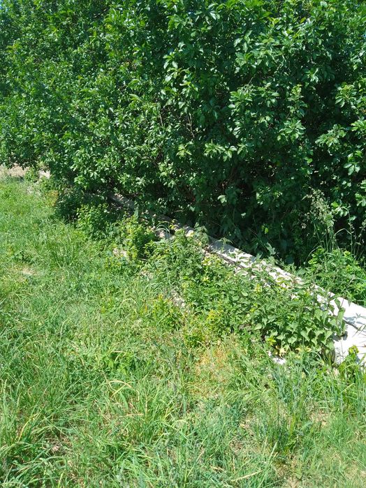 Słupy betonowe zbrojone 9 m