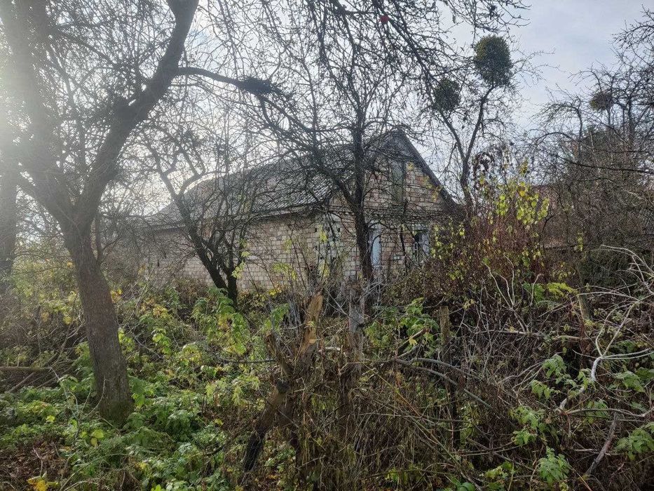 Будинок, с. Копилів, Макарівський р-н.