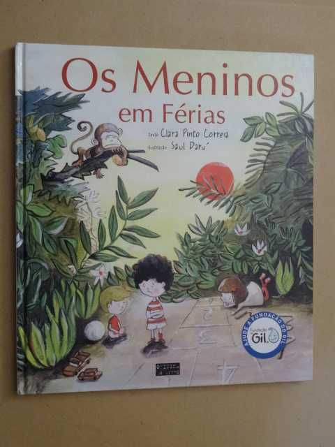 Os Meninos em Férias de Clara Pinto Correia - 1ª Edição