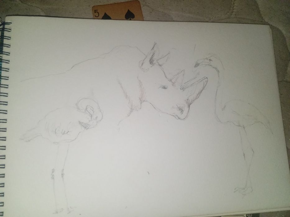 Álbum de desenhos da Manuela