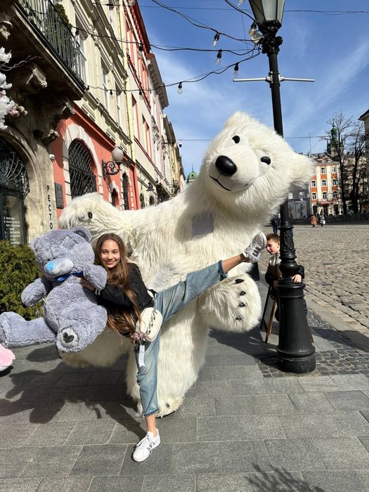 Білий ведмідь; Ведмедик; Панда