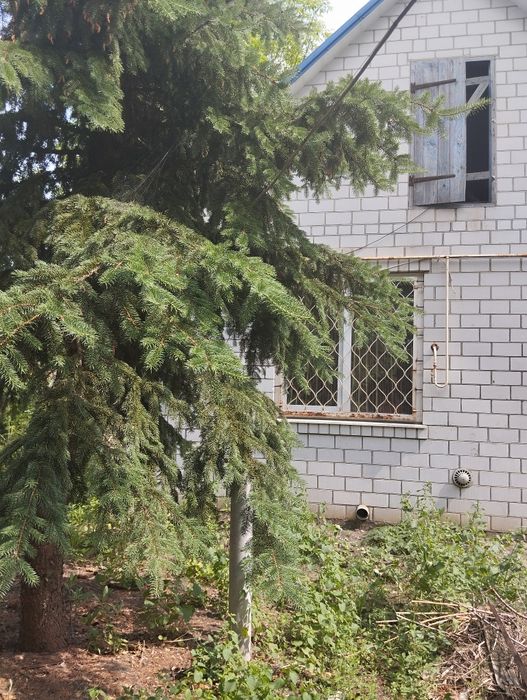 Продам в тихом красивом месте Нововодолажском района  дом  с ставком