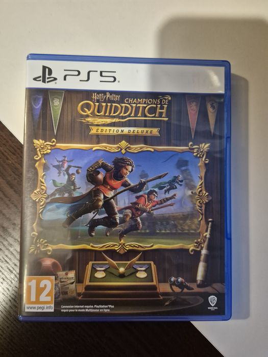 Quidditch champion