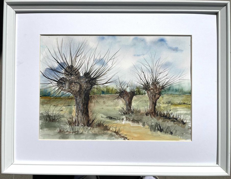 Akwarela  ,,Trzy wierzby- strażniczki wiatru" Format A4