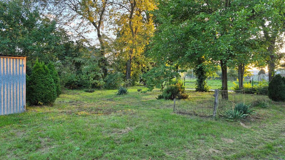 Dom – Marcinkowo, powiat inowrocławski - Widok 4