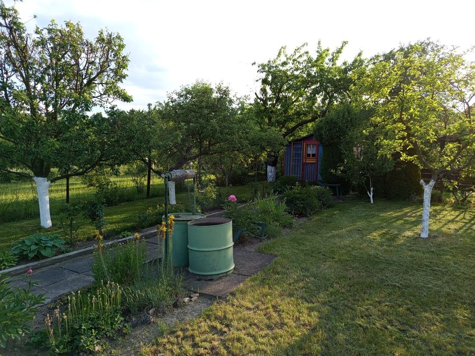 Sprzedam atrakcyjną działkę ROD „Tulipan” w Świdnicy – 400 m²