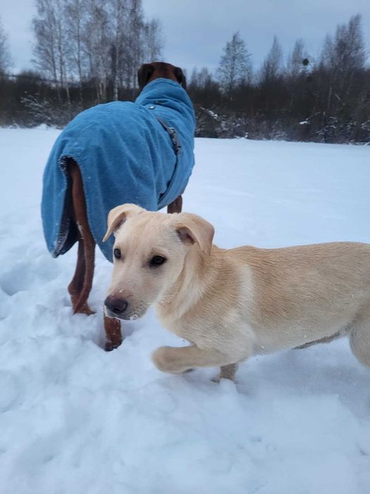 Pomóż nam znaleźć najlepsze domy