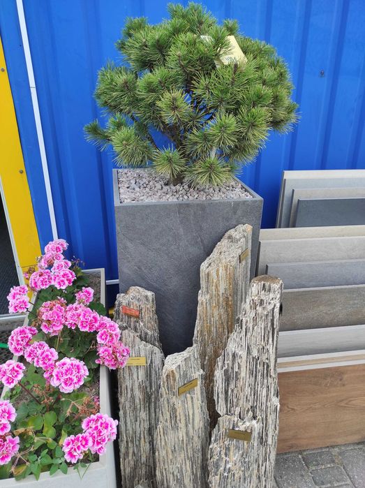 Donica Dark Stone Eko Park Łomża
