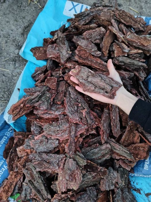 Продам кору сосновую