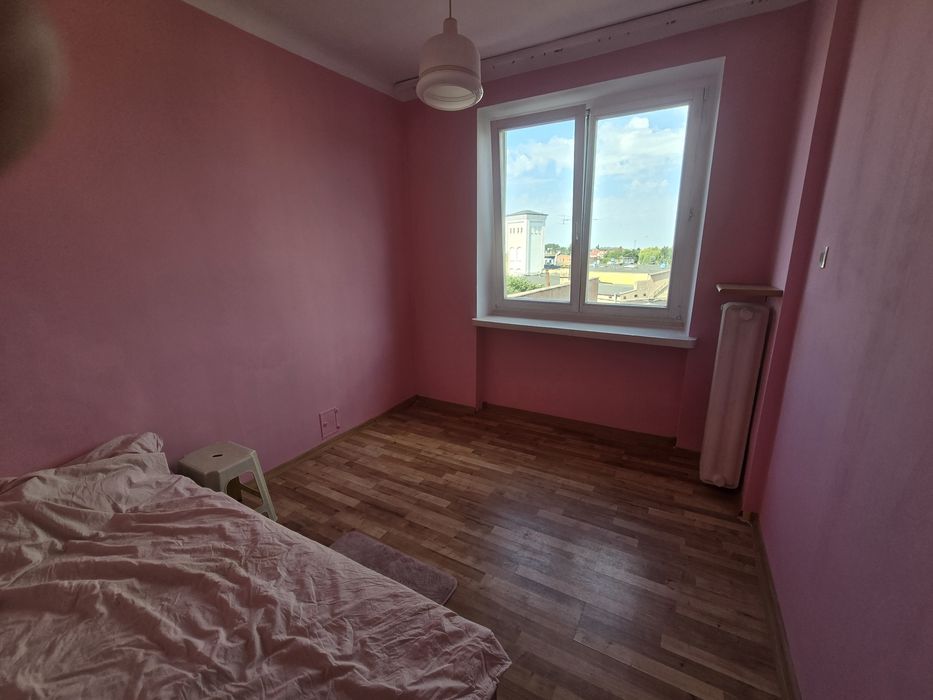 Zdjęcie 8