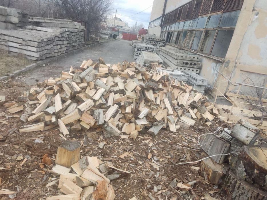 Сухие дрова разных пород