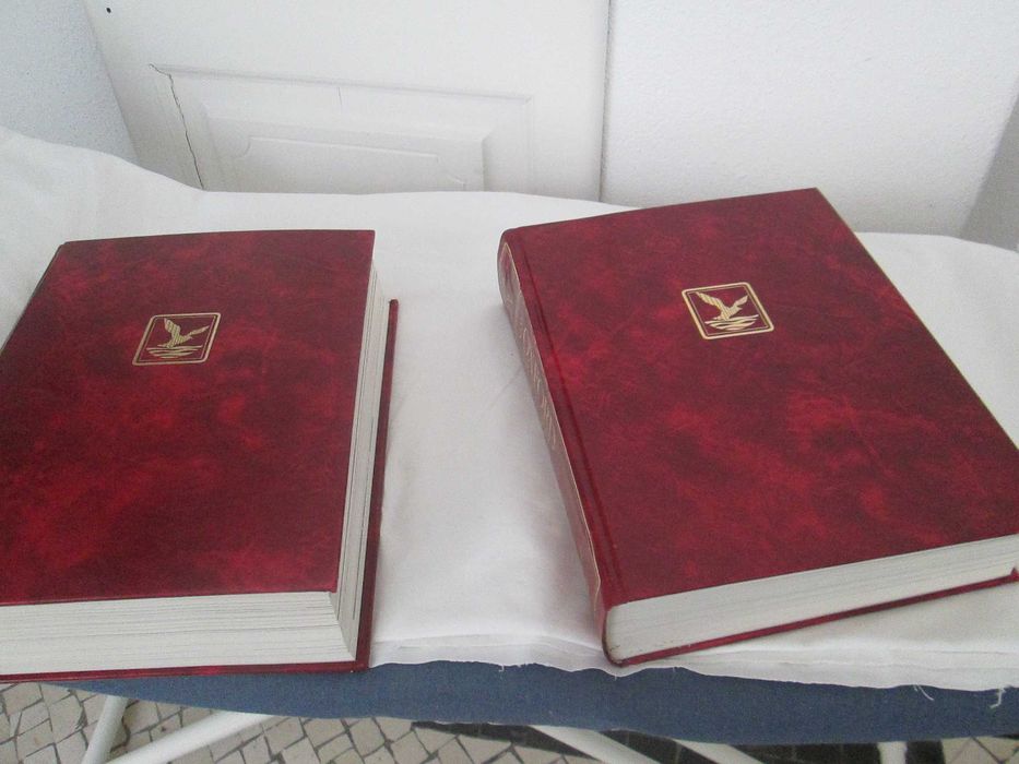 The New Oxford Ilustrated Dictionary volumes 1 e 2
