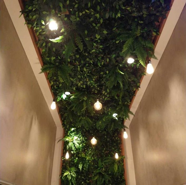 Instalações Elétricas | Luminárias | Tomadas | Eventos – Rede Watts