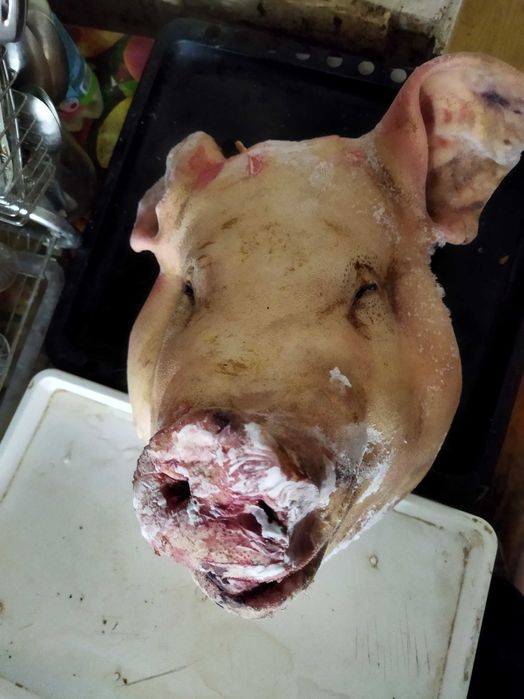 Продам домашнє свине товсте сало шпондер (бочок) шия, полядвиця,рулька