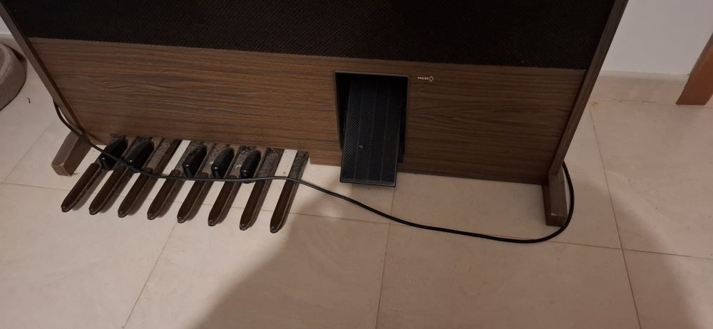 Órgão eletrónico GEM Wizard