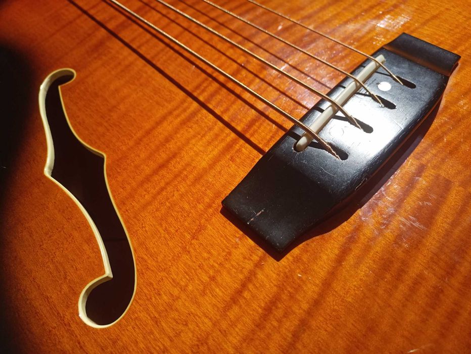 Aria pro FEB-DLX, bas akustyczny, gitara basowa