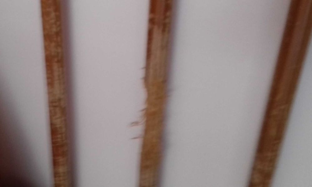 Berço em madeira para bebé ou pet