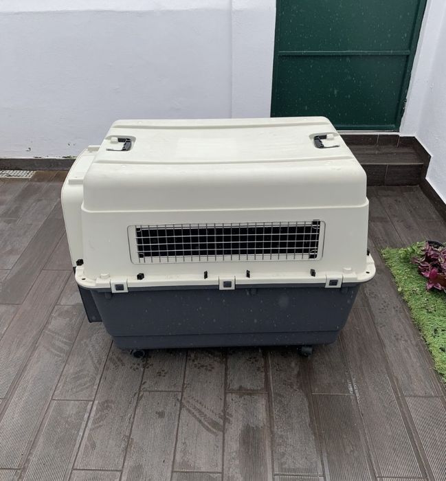 Caixa de transporte para Cão
