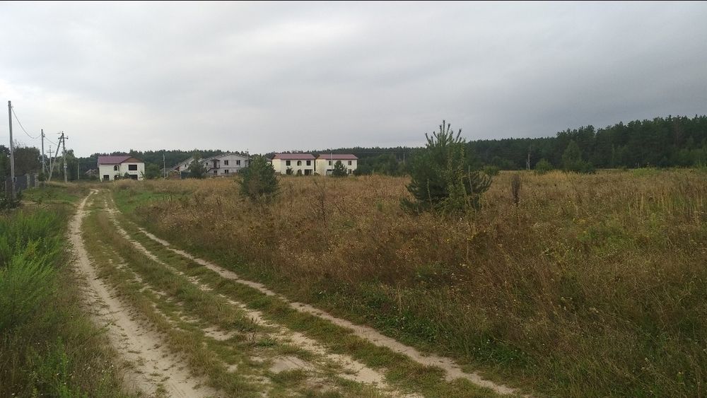 Земля 15,5 сот Липовий Скиток ВЛАСНИК