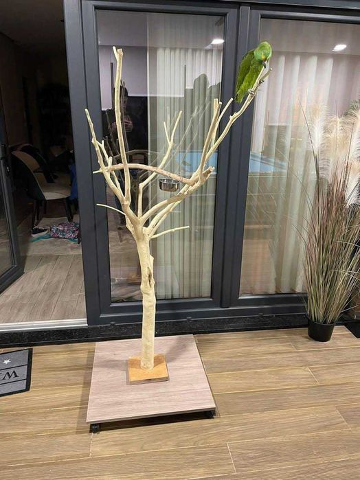 Poleiro Artesanal para Papagaios | Madeira Natural | Natural Wooden Parrot Perch