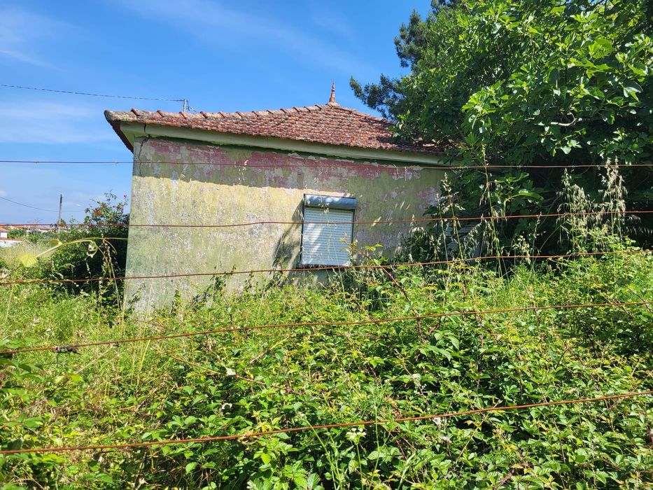 Terreno com 2 ruínas em Mazedo