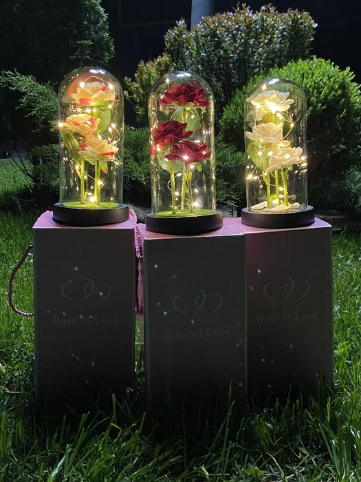 Троянди в колбі з підсвіткою