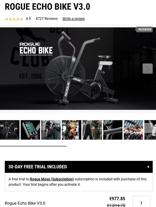 Rogue Echo Air Bike
