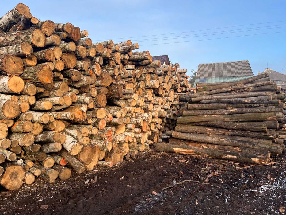 Drewno wałki 2,5m DĄB BUK OLCHA BRZOZA drewno kominkowe kłody stosowe