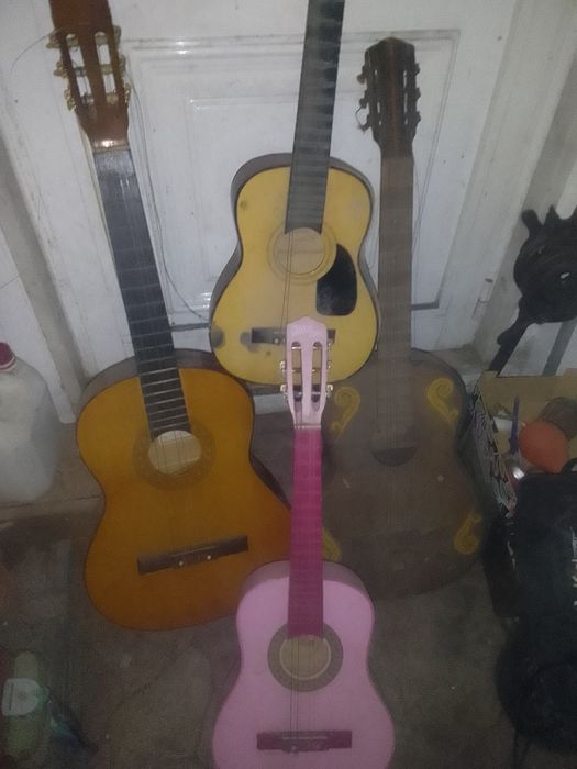 4 violas para restaurar