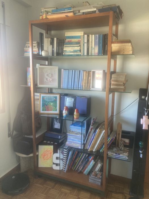 Estante madeira e vidro