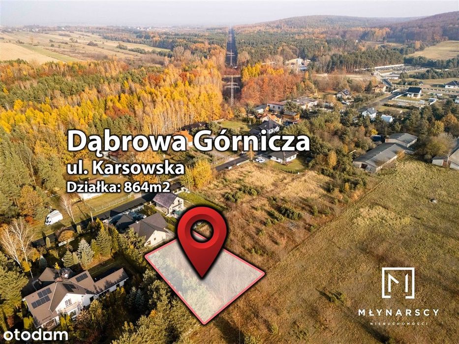 Ujejsce|Las|Cisza|Spokój|Blisko Pogorii