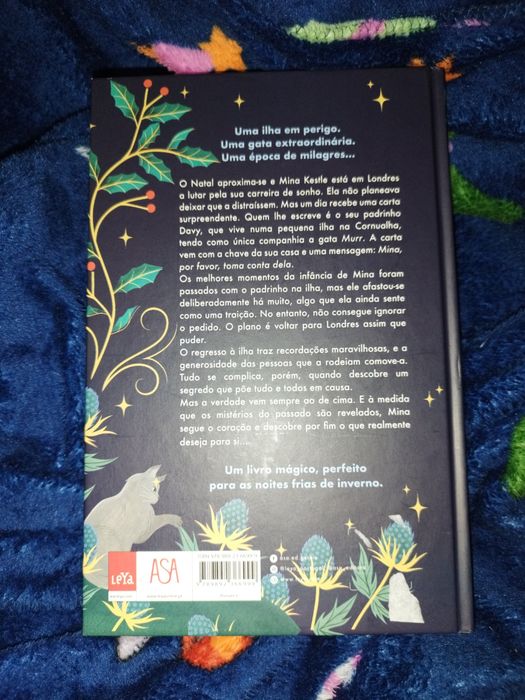 A gata que salvou o Natal