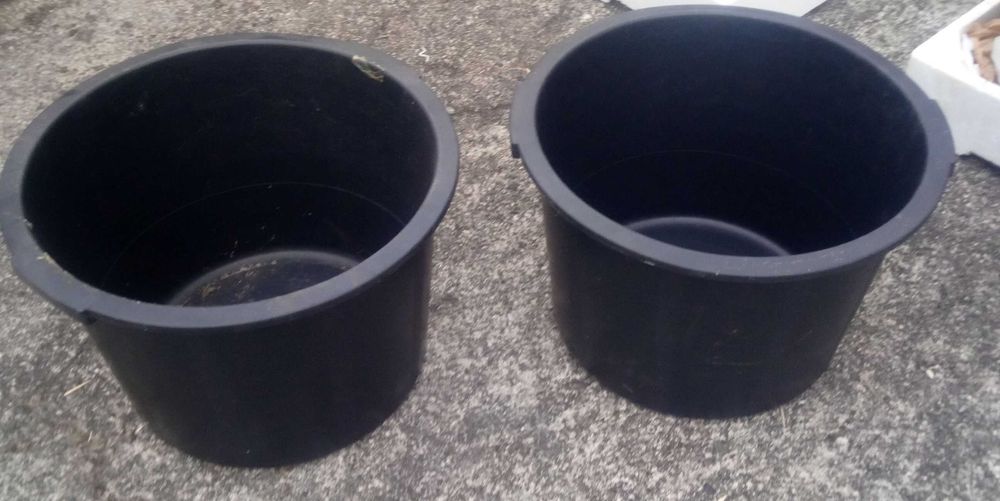 Potes, ideal para vindima