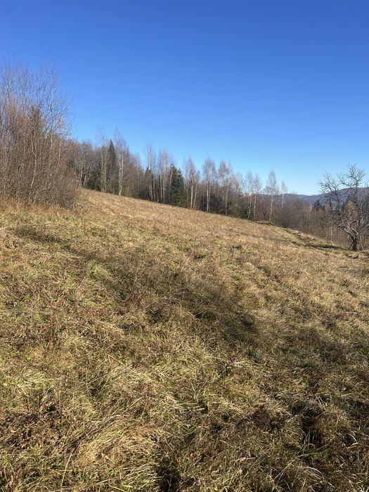 Продам земельну ділянку Славське