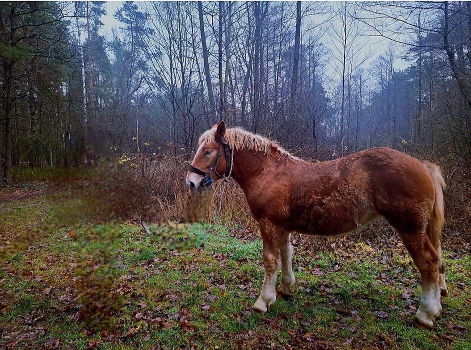 Źrobka 10 miesieczna