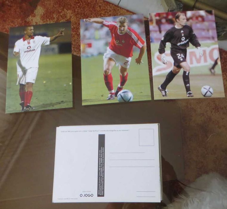 Coleção Completa  23 postais do Plantel do Benfica - Época 2004 / 2005
