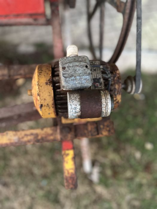 Esmagador de Uvas Eletrico Lena