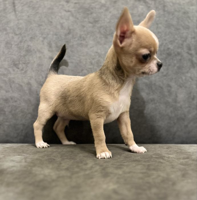 Маленький мальчик