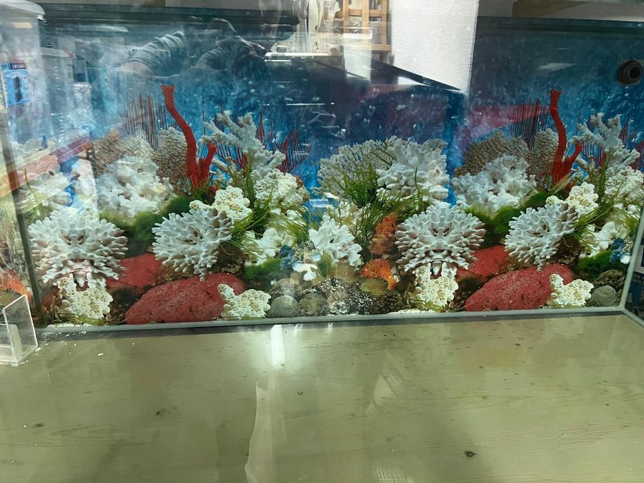 Aquário 560l + sump