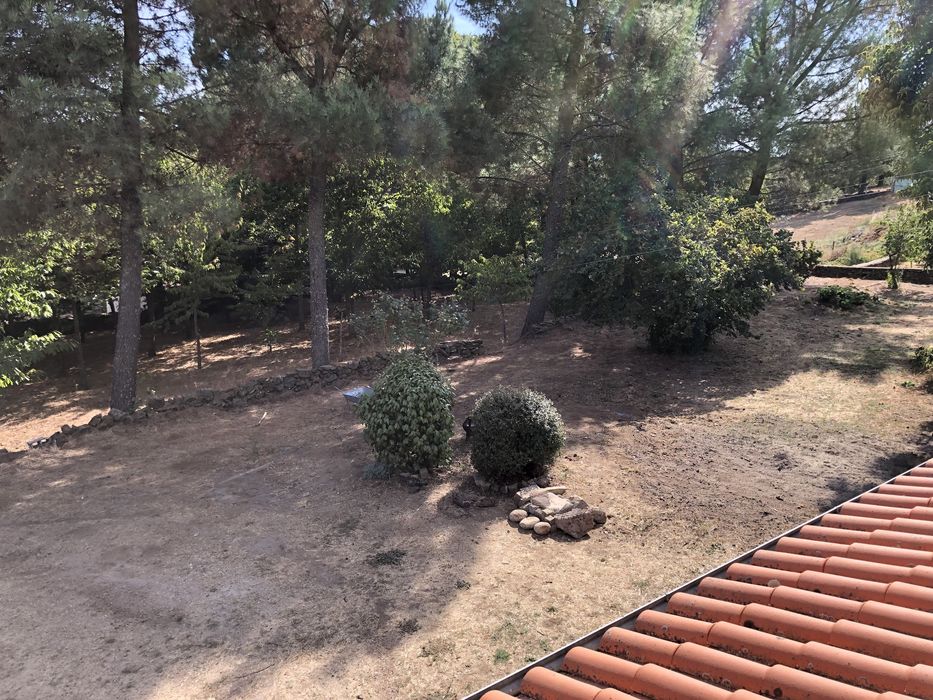 Herdade de 4000m2 perto da Guarda