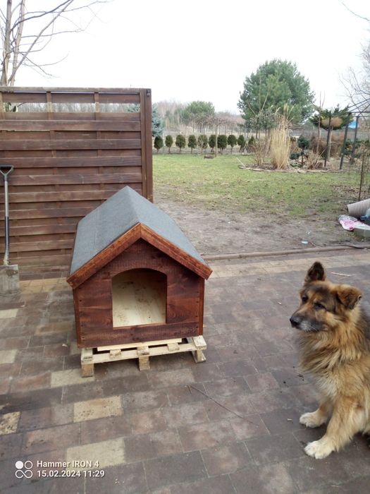 Buda dla psa Tanie solidne drewno Promocja wysyłka!