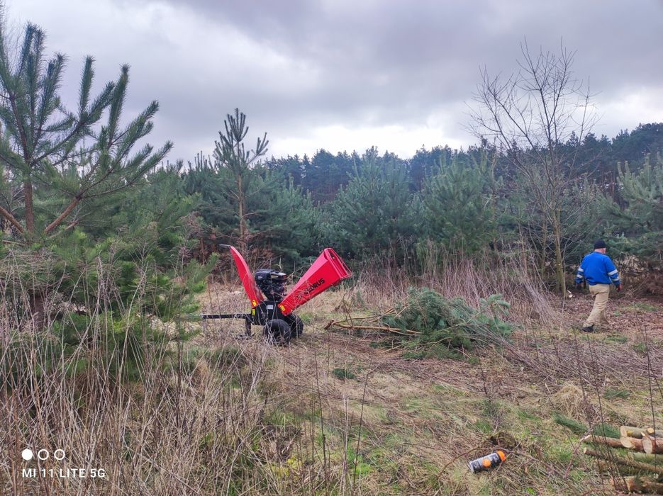 Czyszczenie porządkowanie działek wycinka drzew rębak utylizacja