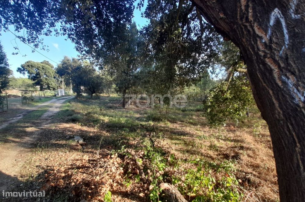 Terreno Rustico